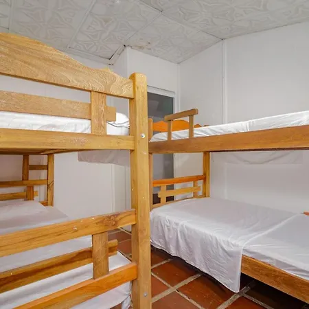 Vivienda Turistica Palmas Apartment *